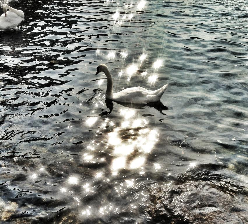 Villa Caterina Perledo Pokoj fotografie